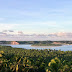 Alagoas - Atrações imperdíveis na Praia do Gunga