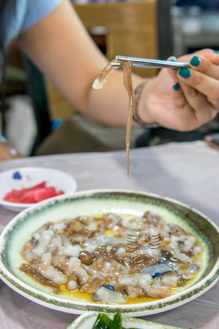 Jagalchi Fish Seafood Market South Korea Busan