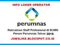 Info Lowongan Kerja BUMN PERUMNAS Terbaru untuk S1 di Jakarta,Bandung,Yogyakarta dan Surabaya,2016