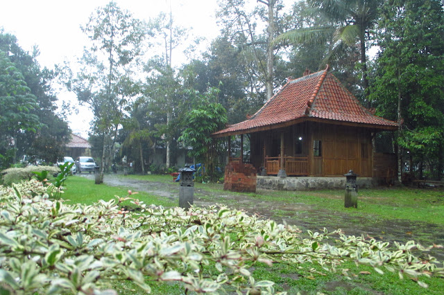 rumah limasan untuk penginapan