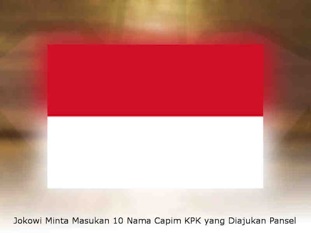 Jokowi Minta Masukan 10 Nama Capim KPK yang Diajukan Pansel