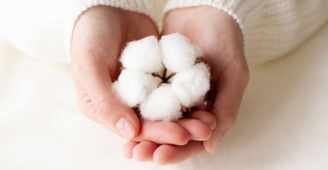 To see Cotton in dream meaning