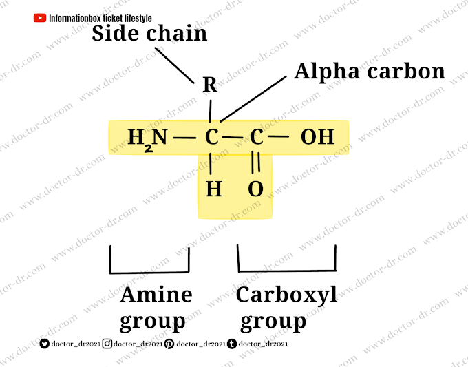 Unit 2: The Chemical Basis of Life - Proteins - Doctor-dr