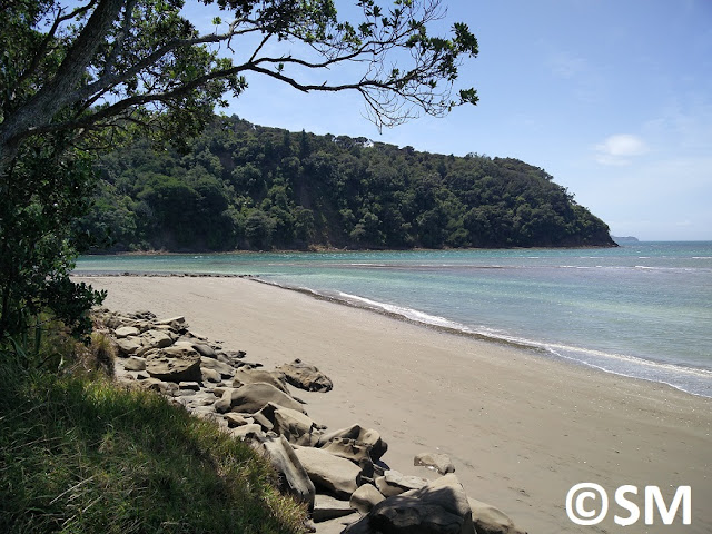 Photo plage de Wenderholm Regional Park Auckland Nouvelle-Zélande