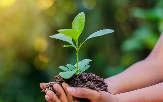 കാർഷിക സെമിനാറും, തൈ വിതരണവും  ഞായറാഴ്ച 