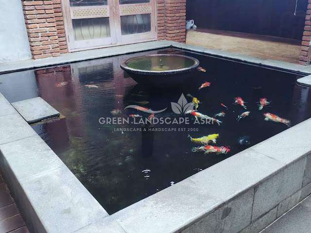 Tukang Kolam Koi Minimalis Pacitan - Bikin Kolam Ikan Berkualitas