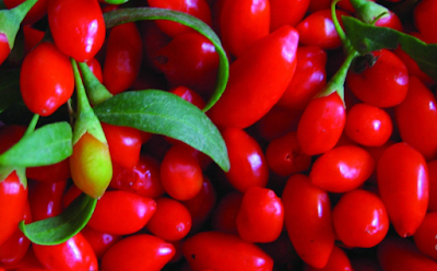 Gojiberries Nutritional Profiles and Unique Benefits