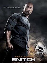 Snitch 2013 BluRay Rip Dual Audio ( Hindi - English ) Movie Download