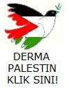 dermapalestin