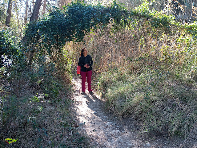 Río Alhárabe, Barranco de Hondares y pasos de El Poyato y El Toril