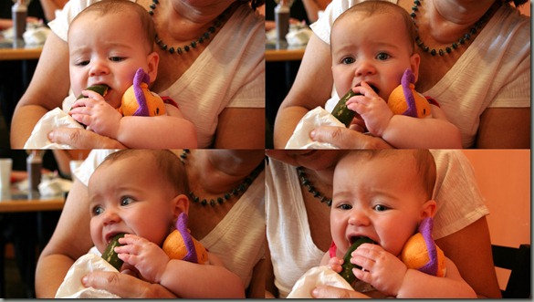 Sylviepicklecollage