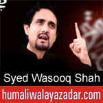 https://humaliwalaazadar.blogspot.com/2019/09/syed-wasooq-shah-nohay-2020.html