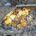 Hundreds Of Roman Gold Coins Found In Theater Basement