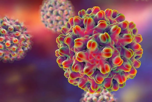  REPORTAN PRIMERA MUERTE DE PACIENTE CON METAPNEUMOVIRUS HUMANO EN PUEBLA.