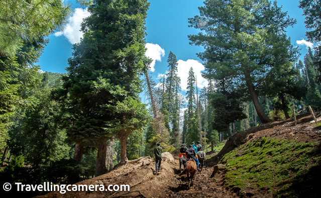 Baisaran Valley is also the camping site for those who want to trek onward to Tulian Lake. Baisaran valley is 5 kilometers from Pahalgam city and Tulian lake is 11 kilometers from Baisaran. The trek has some steep stretches and requires decent fitness levels.