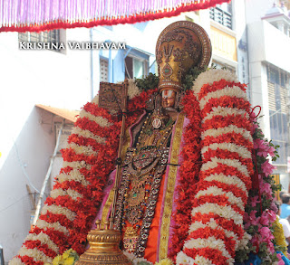 Ippasi Thirumoolam,Sattrumurai, Manavala Maamunigal,Purappadu,2016, Video, Divya Prabhandam,Triplicane,Thiruvallikeni,Utsavam,