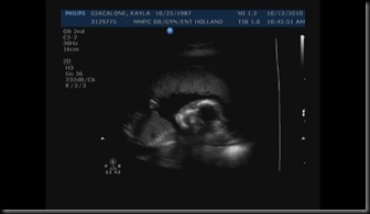 Image4