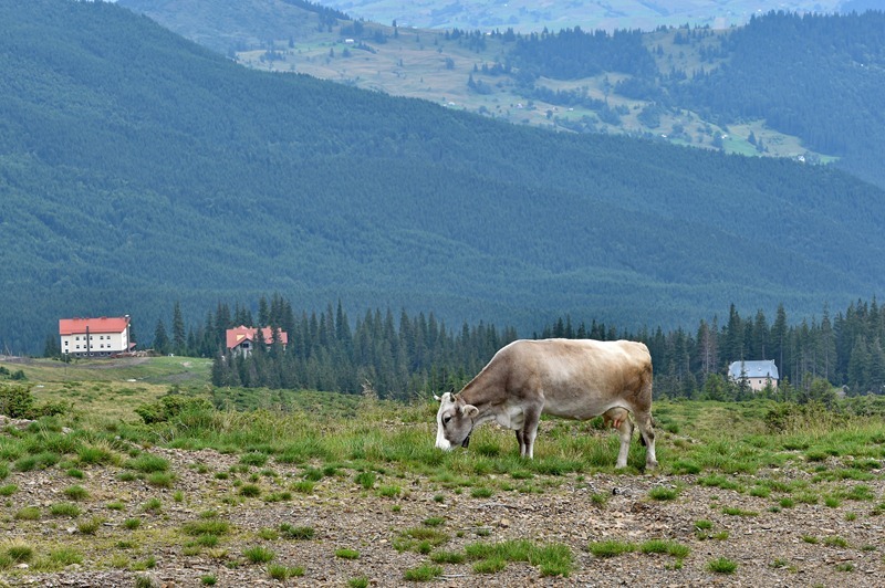 DSC_4297 