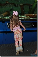 zoo 028