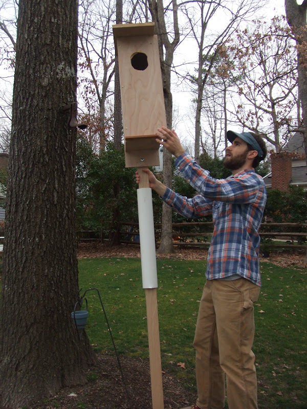 hanging a wood duck house