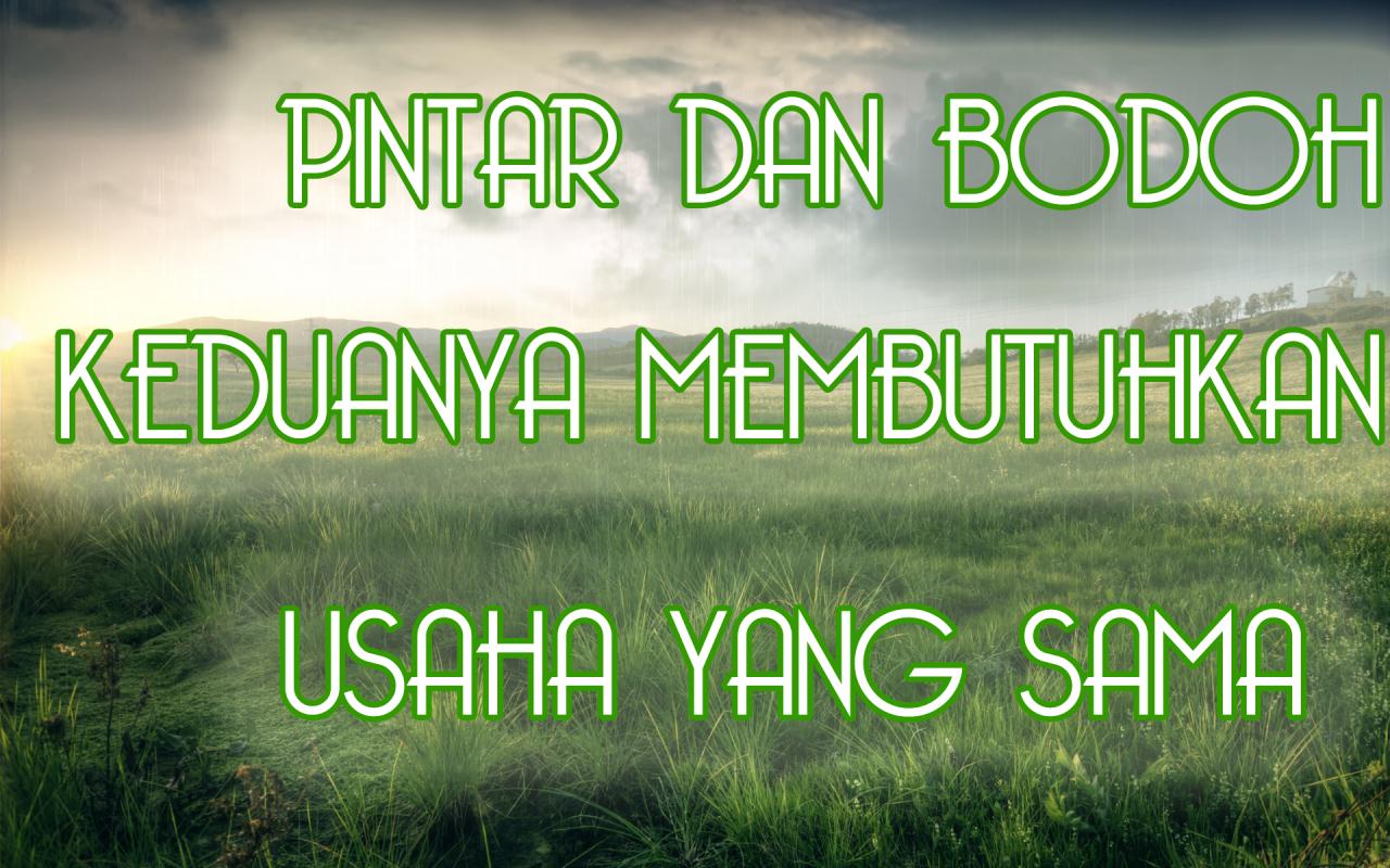 Kata Bijak Motivasi Pintar Dan Bodoh Keduanya Tetap Wallpaper