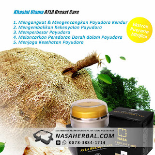 Ayla Breast Care, Krim Aman & Alami  Perawatan Payudara (AYLA)