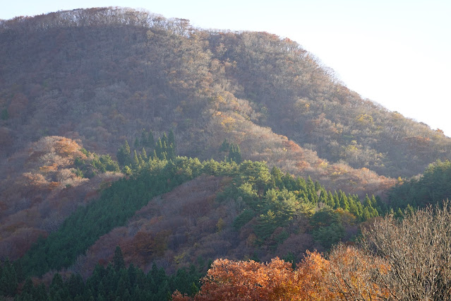 鳥取県日野郡江府町御机 城山