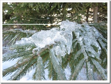 20120118_ice_005