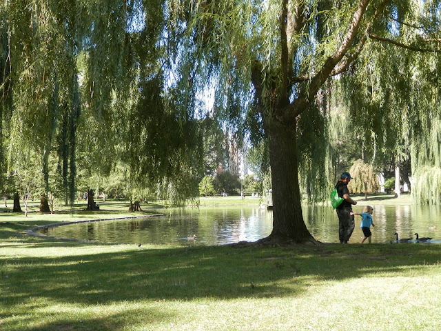 Public Garden Boston