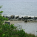 View album