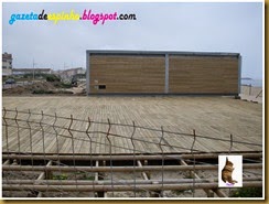 O desenvolvimento das Ruas de Espinho004Gazeta de Espinho