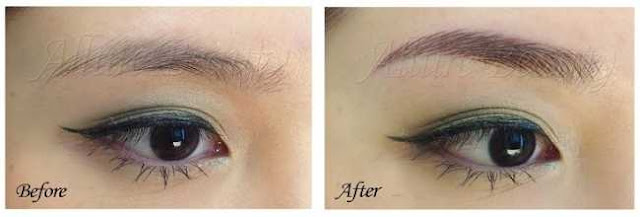 Eyebrow Embroidery