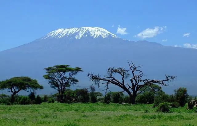 Image of The Largest Mountain in Africa