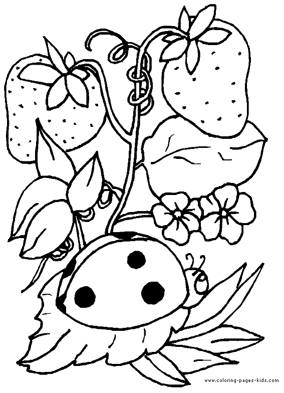 Ladybug Coloring Page