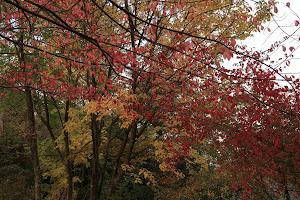 Mount Rokko