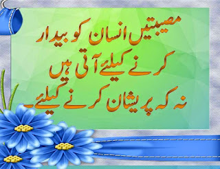  Aqwal E Zareen,