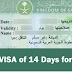 Saudi Arabia to Grant Tourist E-VISA for 14 Days for 640 SR Only
