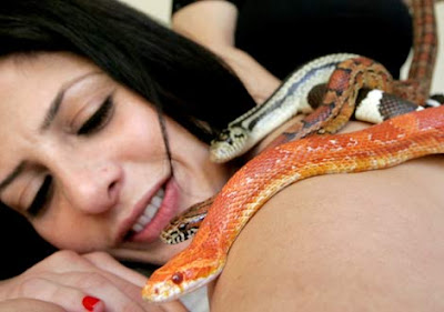 Weired_Stress_Relieving_Snake_ Massage_Therapy_spa