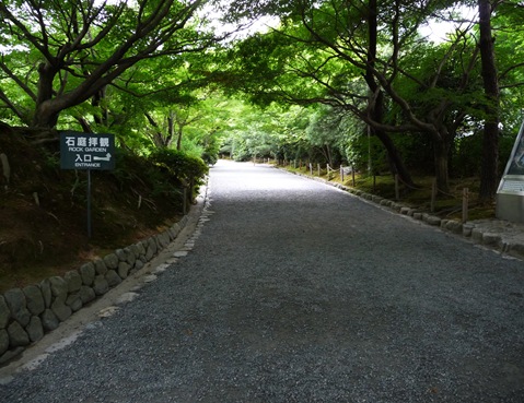 P1000784