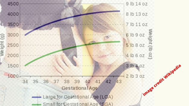 birth weight chart