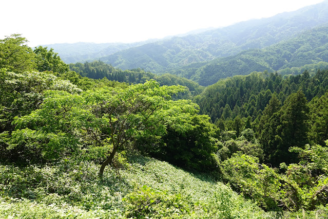 鳥取県西伯郡南部町東上 鎌倉山グリーンライン