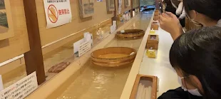 沼津どんぐり　静岡市ネクストブログ