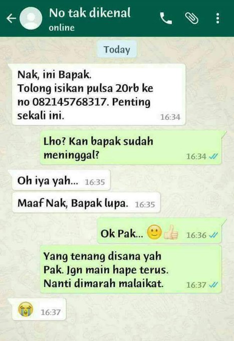  Kata Kata Cinta Ala Santri Lucu Kata Kata Mutiara