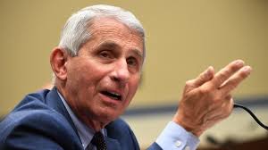 Dr. Anthony Fauci is the federal government's top-paid employee and made $18,000 more than Trump in 2019