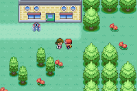 Pokemon Waterfall Screenshot 03