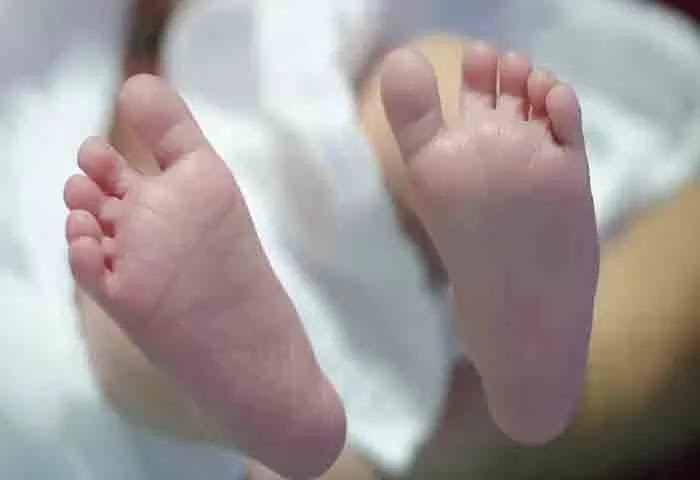 News, National, Jharkhand, Crime, Chief Minister, Child, Jharkhand: Infant Dies After Cops 'Crush' Him Under Boots During Raid In Giridih.