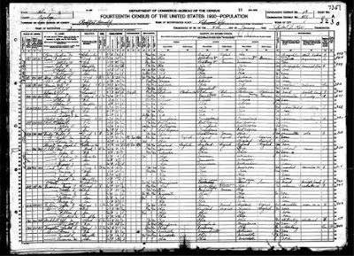 ISGS December 2015 webinar: The US Federal Census: Good, Bad and Ugly for Genealogists