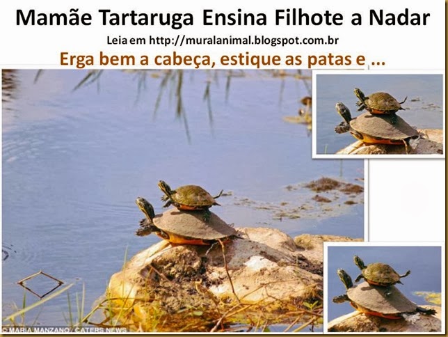 Slide2