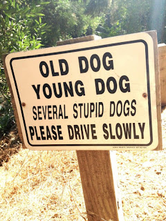 Funny Sign Pictures
