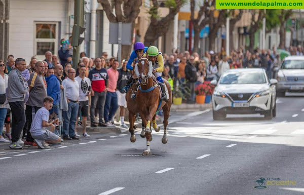 Miles de personas muestran su apoyo a las carreras de La Palma Ecuestre